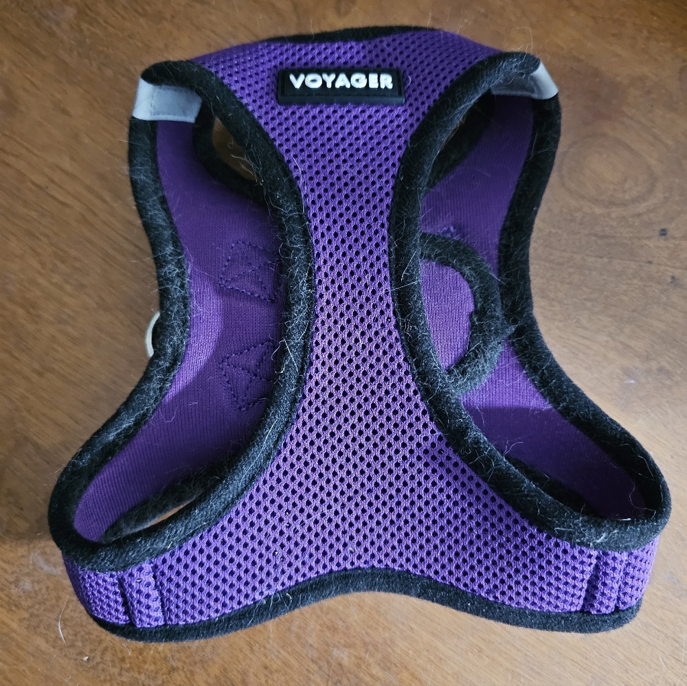 Voyager Purple Dog Harness with Black Trim Size M
